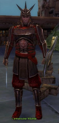 Canthanischer Wächter (Krieger).jpg
