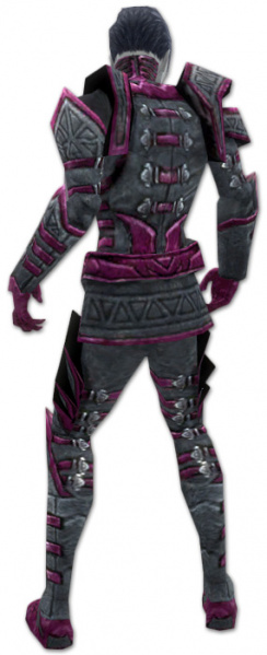 Datei:Nekromant Elite-Sektierer-Rüstung Männlich hinten.jpg