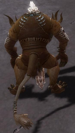 Brandor Grimmflamm Bruderschafts-Rüstung hinten.jpg