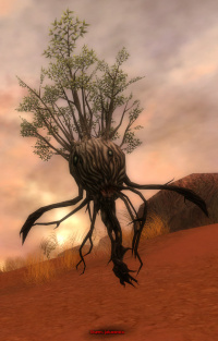 Sturm-Jakaranda (Vaabi).jpg