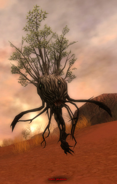 Datei:Sturm-Jakaranda (Vaabi).jpg