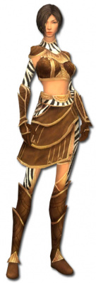 Akolythin Jin Altehrwürdige Rüstung vorne.jpg