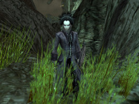 Meisterarchitekt Gunther.jpg