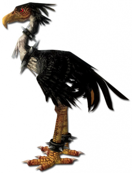 Datei:Schwarzer Moa.jpg