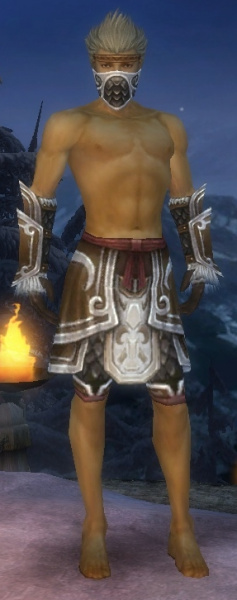 Datei:Waldläufer Elite-Cantha-Rüstung Männlich hand bein vorne.jpg