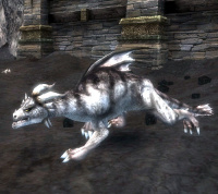 Chromatischer Lindwurm.jpg