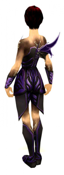 Datei:Nekromant Istan-Rüstung Weiblich hinten.jpg