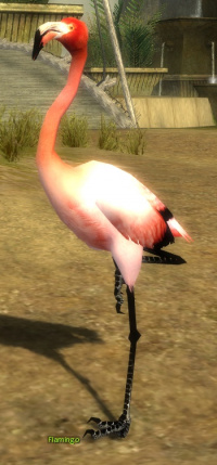 Flamingo (Sammler).jpg