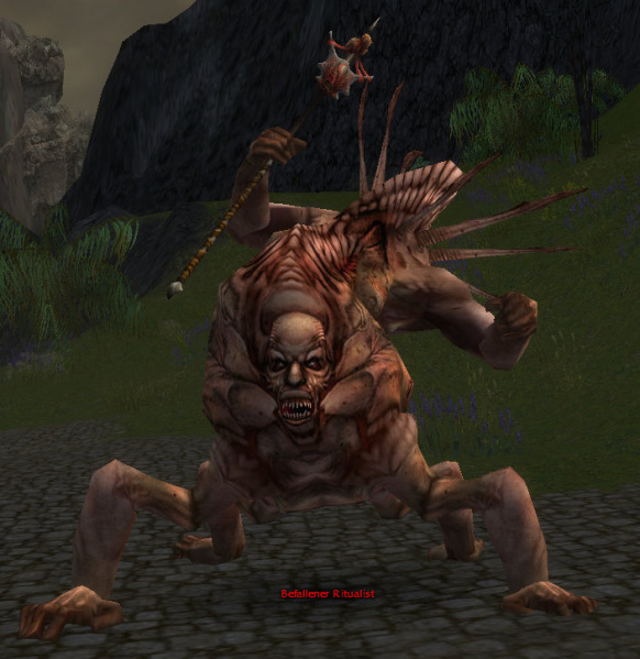 Datei:Befallener Ritualist.jpg