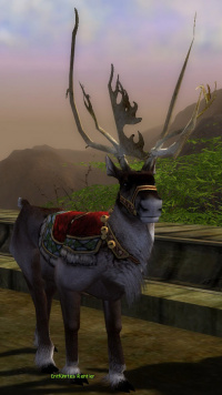 Entführtes Rentier.jpg