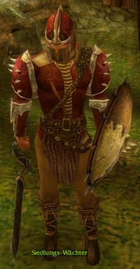 Siedlungs-Wächter.jpg
