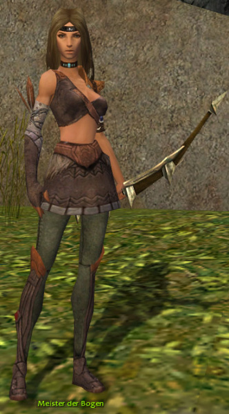 Datei:Meister der Bogen.jpg