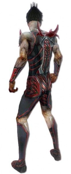 Datei:Nekromant Istan-Rüstung Männlich hinten.jpg