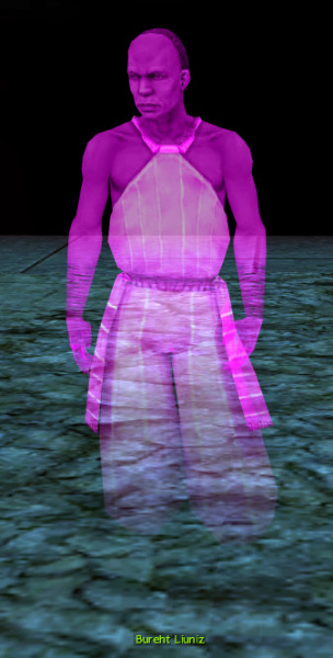 Datei:Bureht Liuniz.jpg