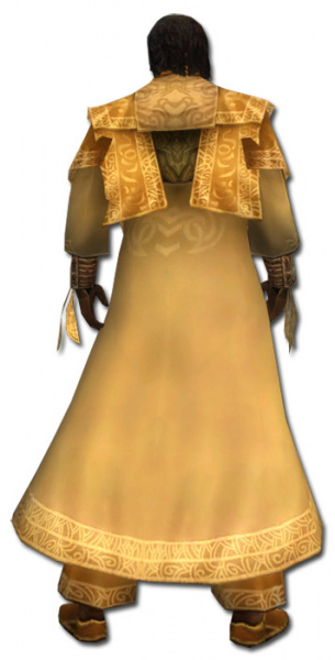 Datei:Dunkoro Altehrwürdige Rüstung hinten.jpg