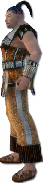 Datei:Mönch Elite-Sonnenspeer-Rüstung Männlich seite.jpg