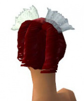 Festlicher Kopfschmuck weiblich hinten.jpg