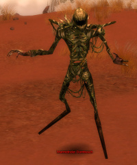 Murmelnder Dornbusch.jpg