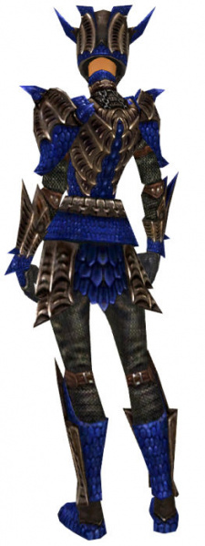 Datei:Krieger Elite-Drachenrüstung Weiblich hinten.jpg