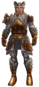 Krieger Templer-Rüstung Männlich vorne.jpg