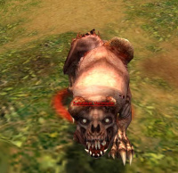 Befallener Verwüster.jpg