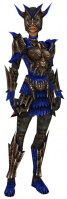 Krieger Elite-Drachenrüstung Weiblich vorne.jpg