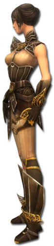 Akolythin Jin Elite-Sonnenspeer-Rüstung links.jpg