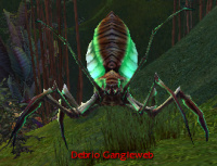 Debrio Gangleweb.jpg