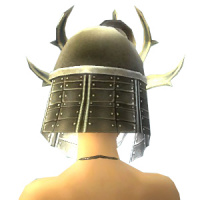 Einheit des Ziels weiblich hinten.jpg