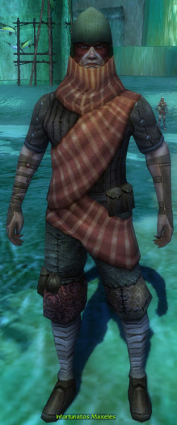 Datei:Infortunatos Maxeles.jpg