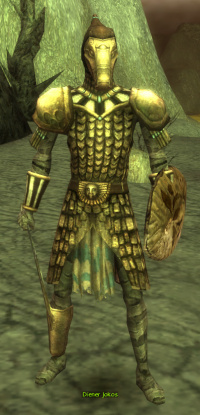 Diener Jokos (Krieger).jpg