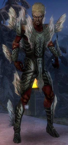 Datei:Nekromant Altehrwürdige Rüstung Männlich vorne.jpg