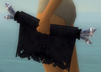 Ganshus Aufzeichnungen.jpg