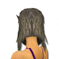 Wolfsmaske hinten.jpg