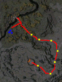 Ein Greifen-Geschenk Karte.jpg