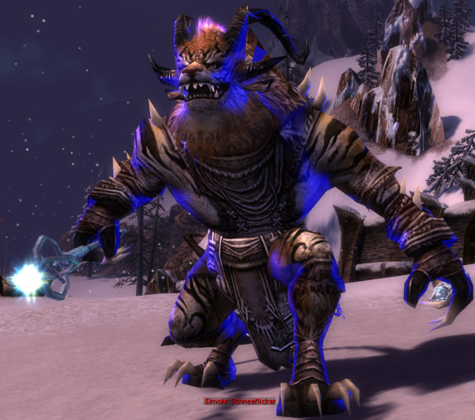 Datei:Elmohr Schneeflicker.jpg