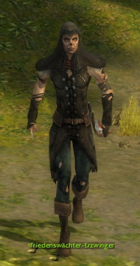 Friedenswächter-Erzwinger (Assassine).jpg