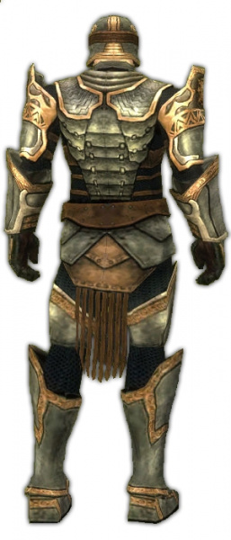 Datei:Krieger Sonnenspeer-Rüstung Männlich hinten.jpg