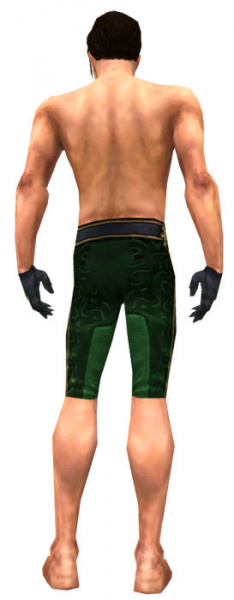 Datei:Mesmer Elite-Sonnenspeer-Rüstung Männlich hand bein hinten.jpg