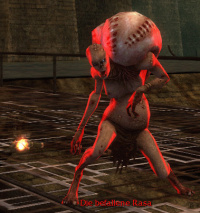 Der befallene Rasa.jpg