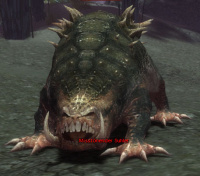 Misstönender Suhler.jpg