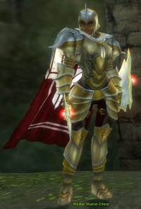 Weißer Mantel-Eiferer.jpg