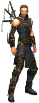 Anton Ebon-Vorhut-Rüstung vorne.jpg