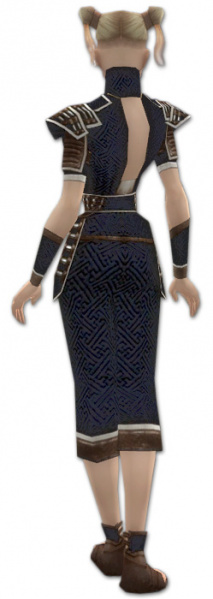 Datei:Mönch Elite-Richter-Rüstung Weiblich hinten.jpg