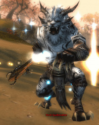 Torch Qualbewahrer.jpg