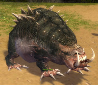 Kleiner Suhler (Sammler).jpg