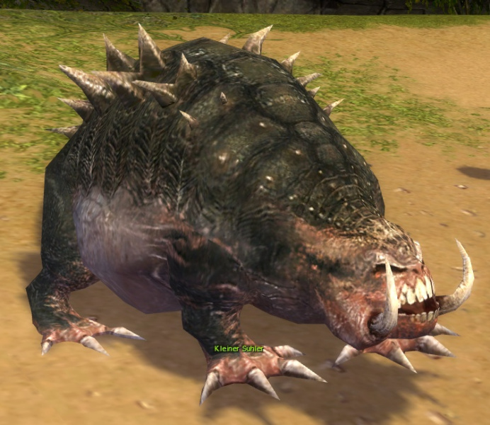 Datei:Kleiner Suhler (Sammler).jpg