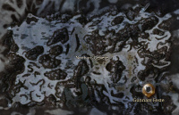 Norrhart-Gebiete Karte.jpg