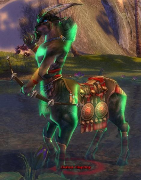 Datei:Orshad-Häuptling.jpg