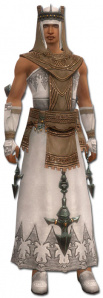 Derwisch Vaabi-Rüstung Männlich vorne.jpg
